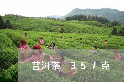 普洱茶 357克/2023031737192